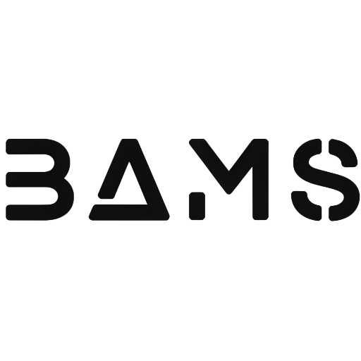 The BAMS Group | Brand Strategy, Identity, and Marketing Support